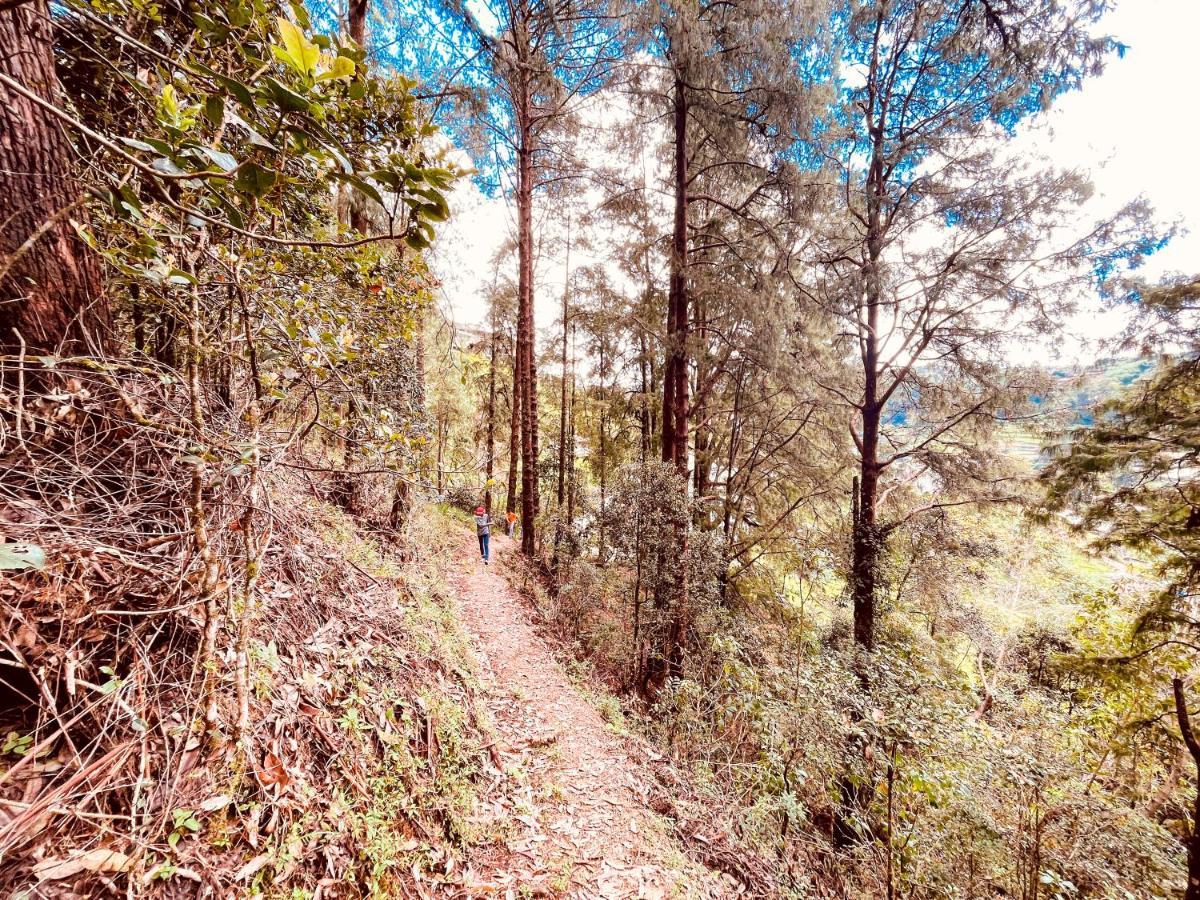 Notre Dame D'Arcadia Hotel Nuwara Eliya Luaran gambar
